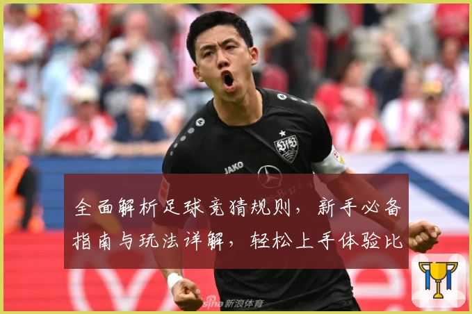 全面解析足球竞猜规则，新手必备指南与玩法详解，轻松上手体验比赛乐趣