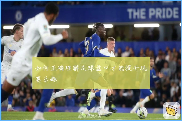 如何正确理解足球盘口才能提升观赛乐趣